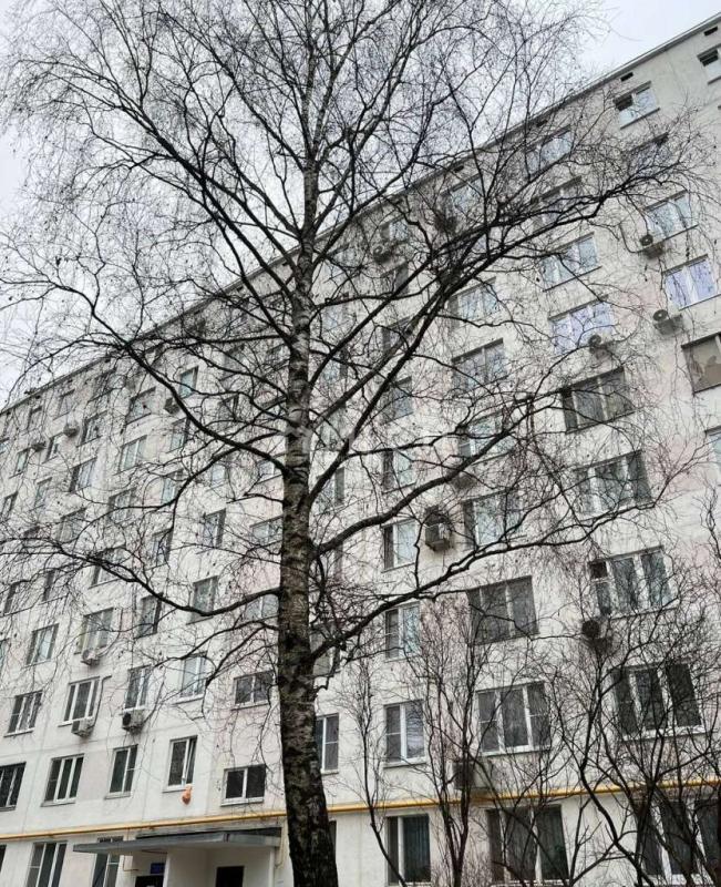 3-комн. квартира, 61.3 м², 5/9 этаж