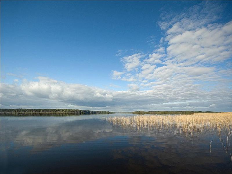 Коммерческая земля, 