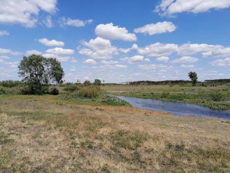 Коммерческая земля, Воронежская область, Воронеж, Железнодорожный р-н, мкр Боровое, ул. Степанова, 376. Фото 1