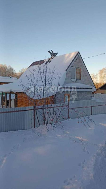Дом, Новосибирская область, с. Репьёво. Фото 1