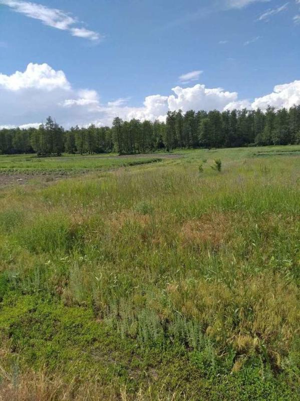 Земельный участок, Белгородская область, с. Незнамово, Зелёная улица. Фото 1