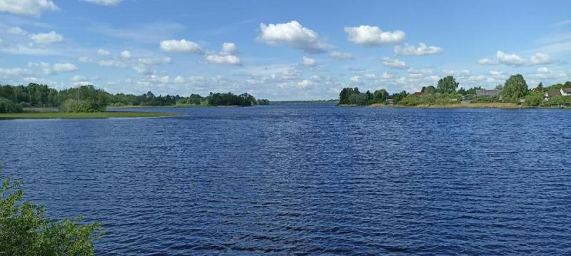 Земельный участок, Ленинградская область, дер. Колодно. Фото 1