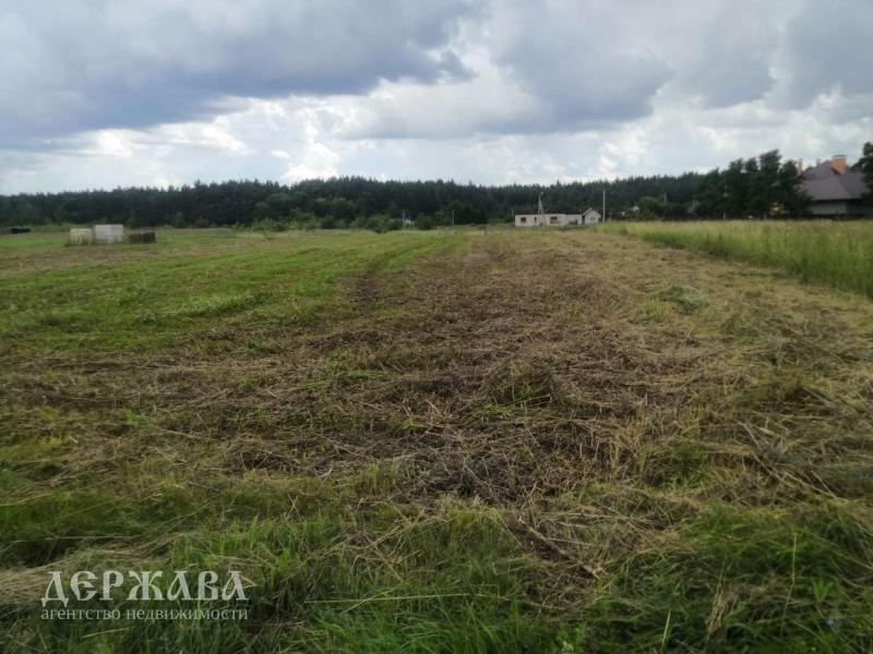 Земельный участок, Белгородская область, с. Новокладовое. Фото 1