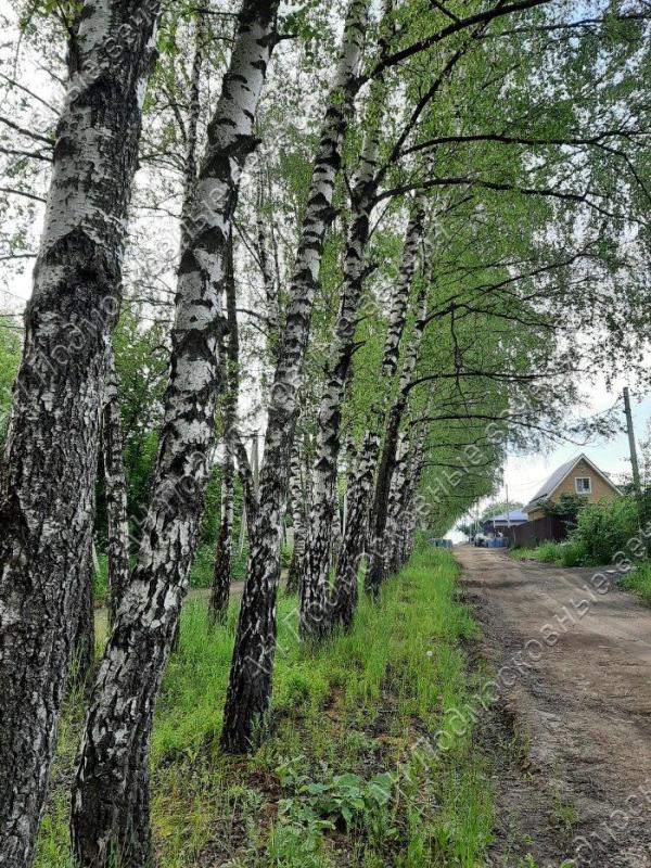 Земельный участок, Московская область, пос. Развилка, 1-й квартал. Фото 1