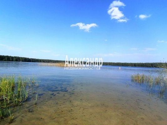 Земельный участок, Ленинградская область, пос. Ларионово. Фото 1