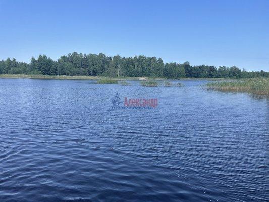 Земельный участок, Ленинградская область, пос. Беличье. Фото 1