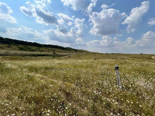 Земельный участок, Республика Крым, с. Приятное Свидание, ул. Адалет, 6. Фото 2