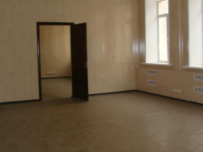 Торговая площадь, 516.9 м²